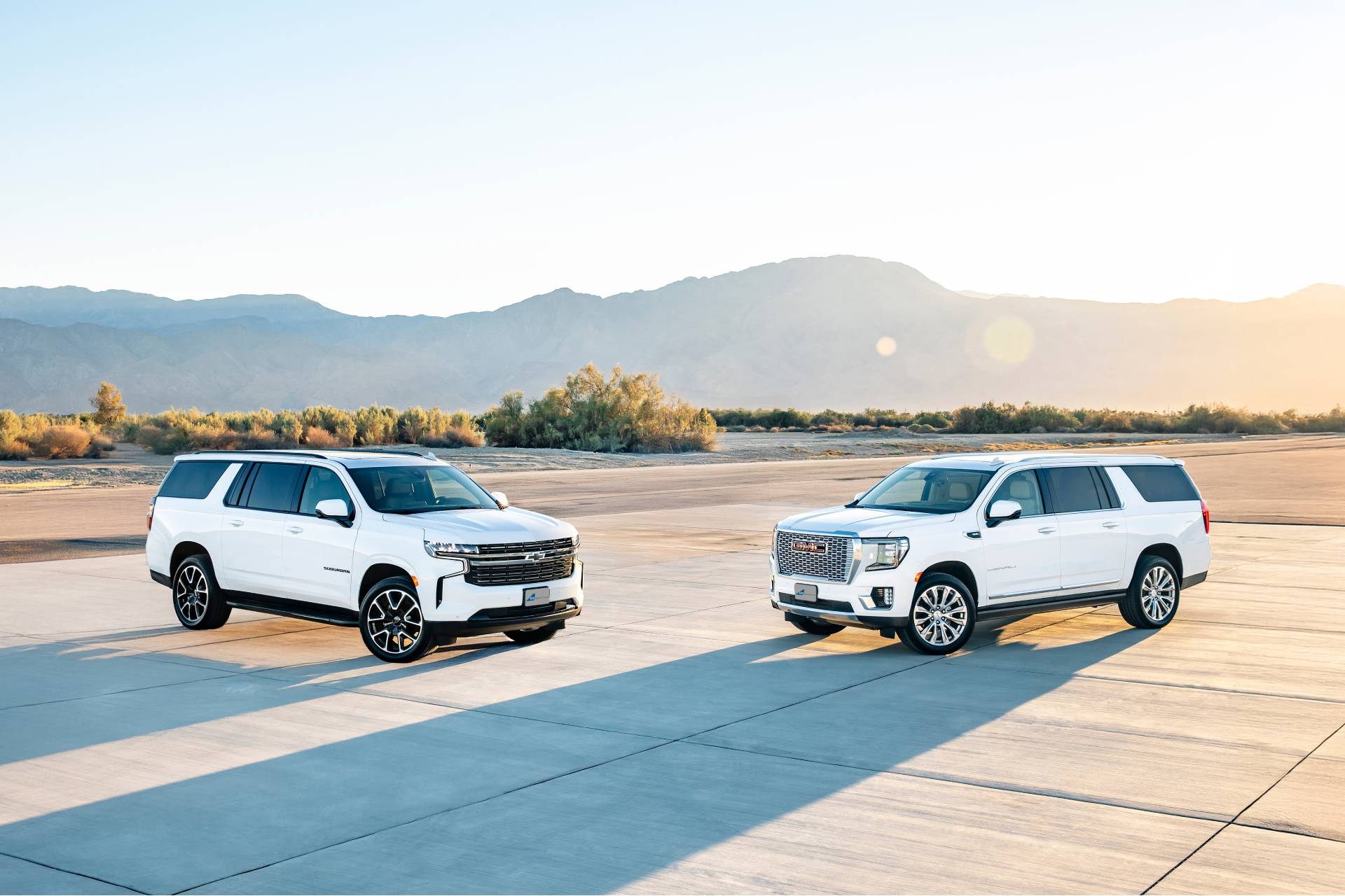 An image of two white cars and one black car perfect for a group or family.